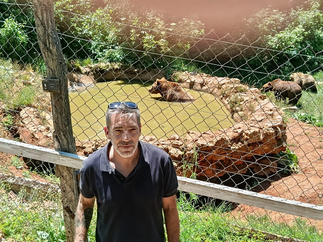 Bear Sanctuary-Kuterevo必去景点