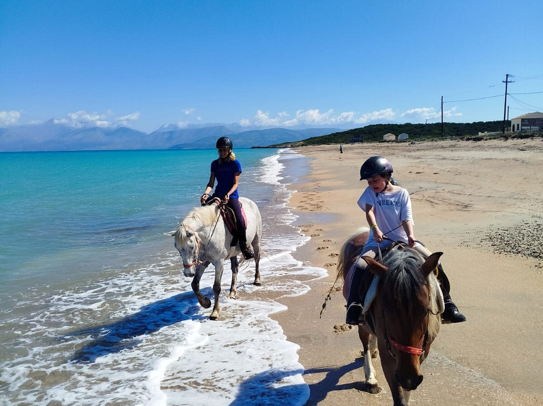 Arena horse riding corfu-Perithia必去景点