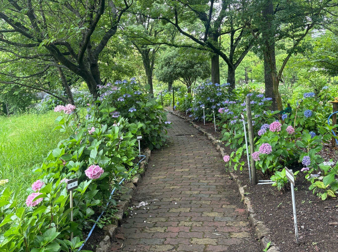 Moriyama Ashikarien Garden-守山市必去景点