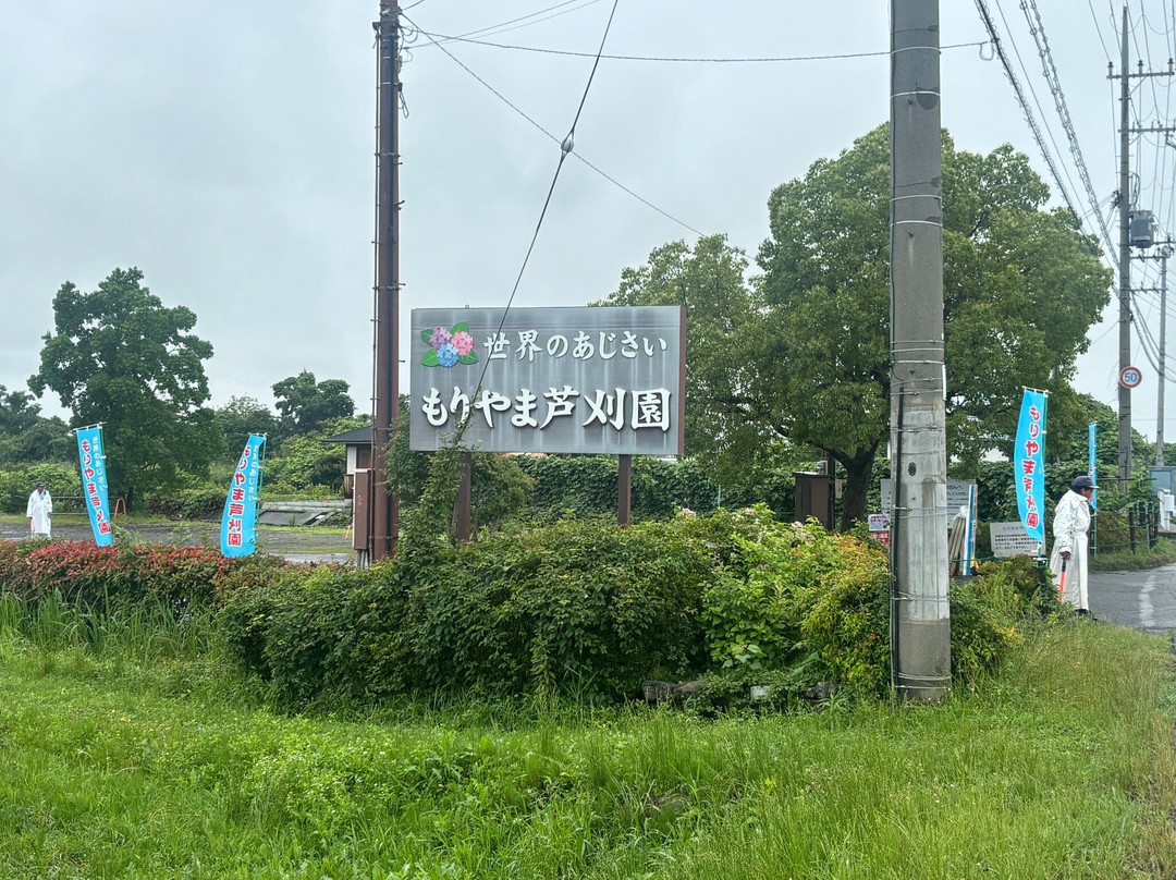 Moriyama Ashikarien Garden-守山市必去景点