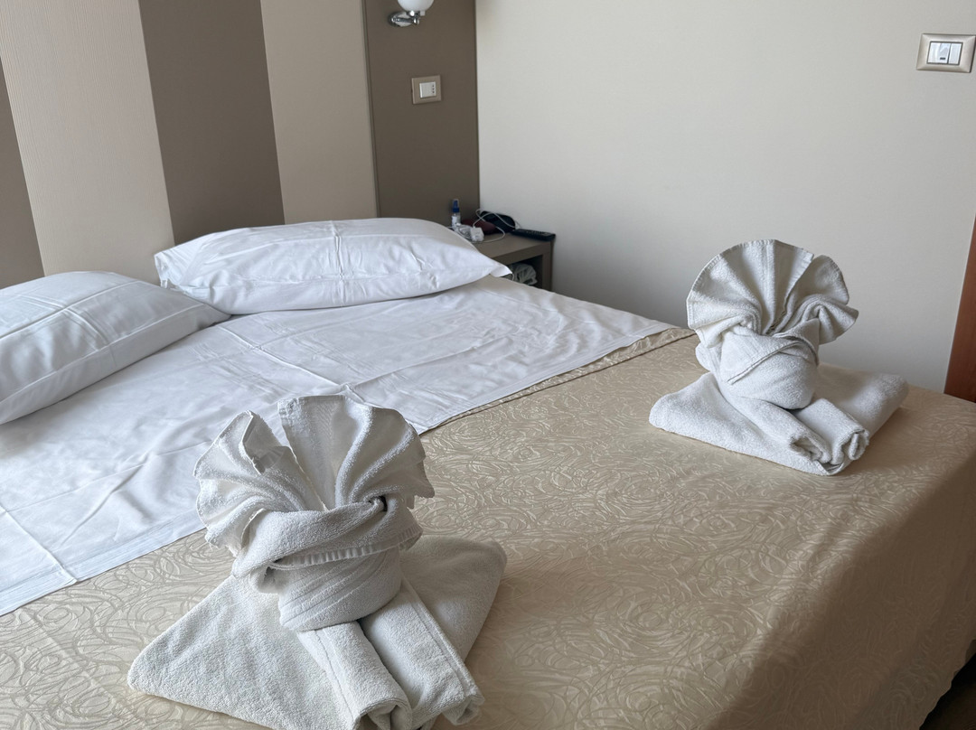Hotel Trieste主图