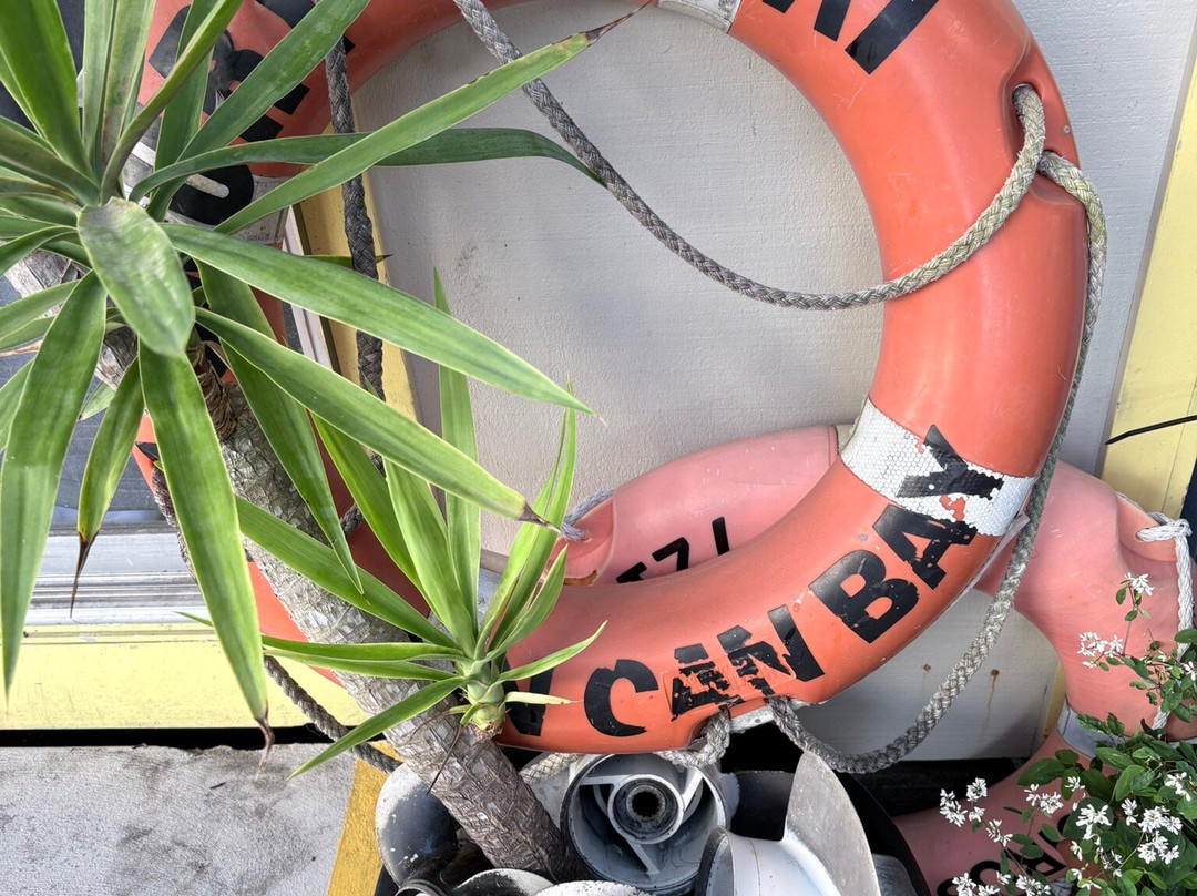 Barnacles Dolphin Centre-Tin Can Bay必去景点