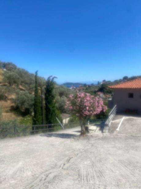 Avaton Hotel-Suites-Villas In Skiathos-旅行者