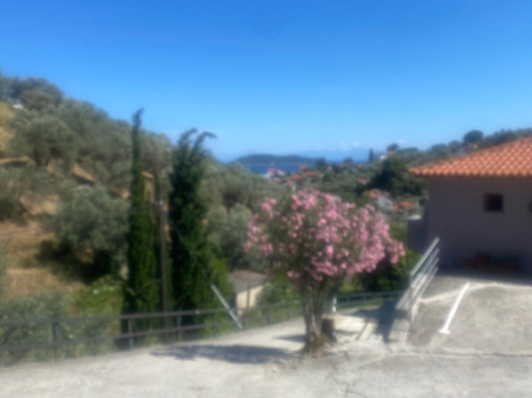 Avaton Hotel-Suites-Villas In Skiathos主图