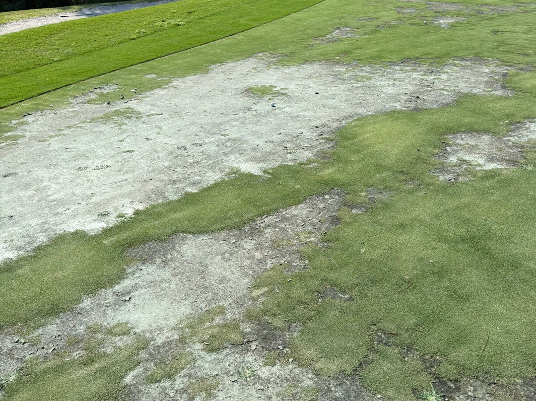 Legacy Golf Club-巴拿马城必去景点