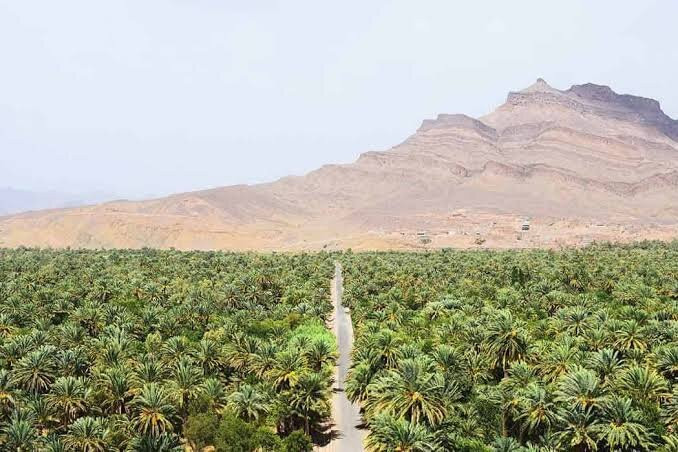 Morocco Desert Full Trips-马拉喀什必去景点