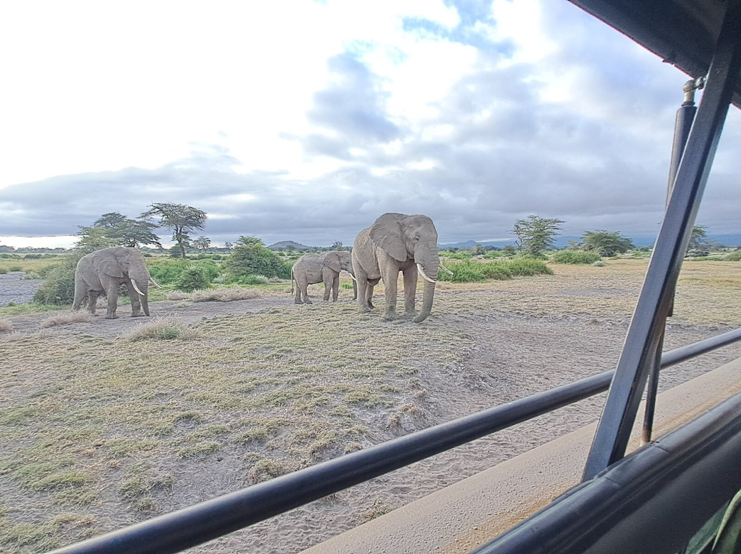 Maasailand Milele Tembo Lodge主图