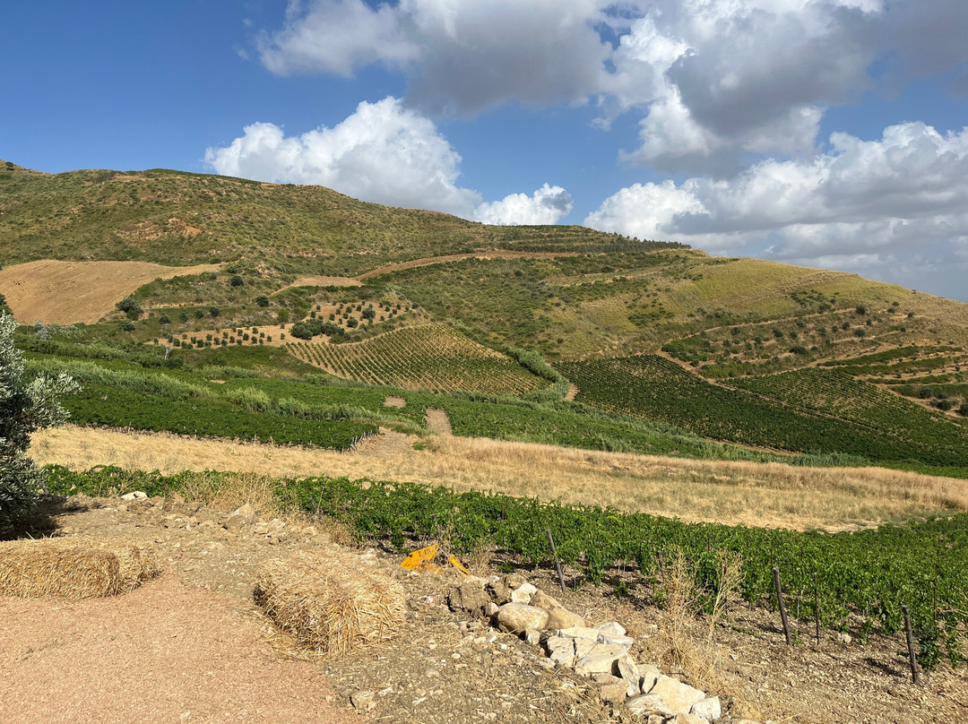 Tenute Valso Wine Estate-Alcamo必去景点