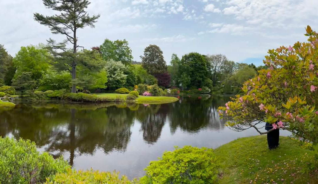 Asticou Azalea Garden-Northeast Harbor必去景点