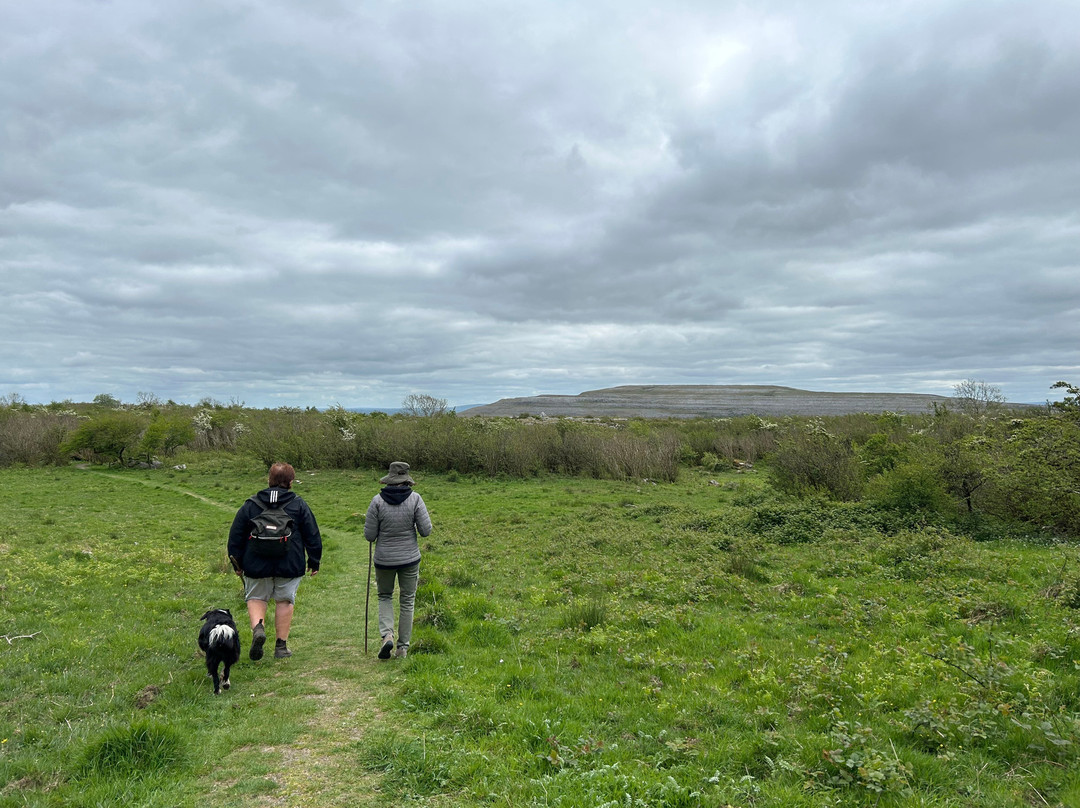 Burren Guided Walks & Hikes-Walking Day Tours-Fanore必去景点