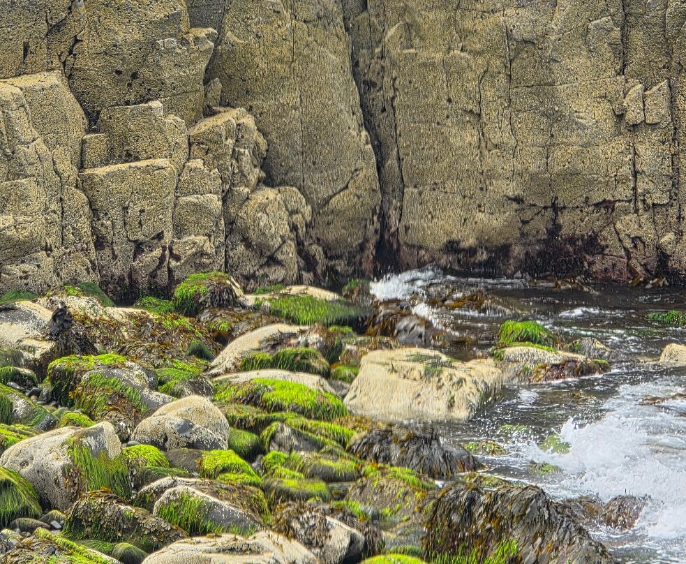 Isle Of May Boat Trips-Anstruther必去景点