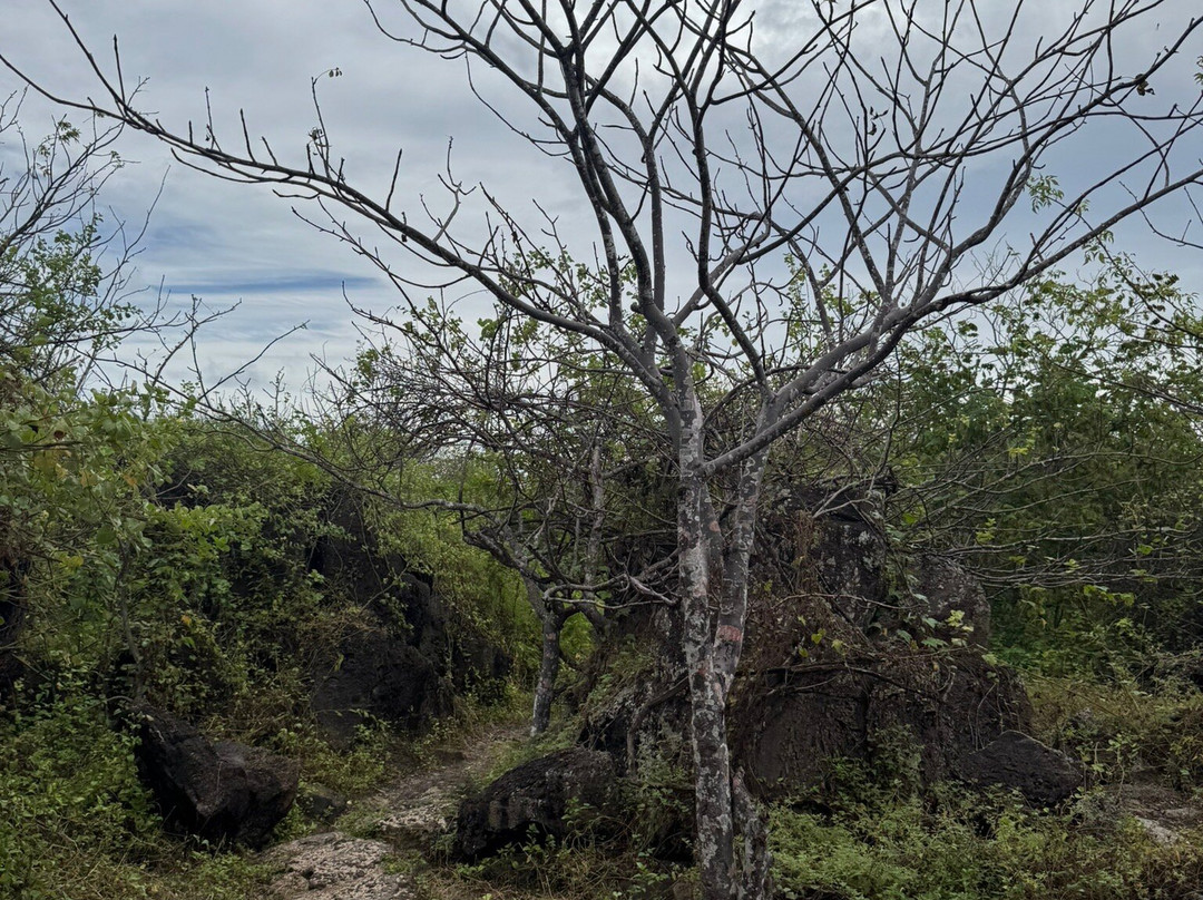 Cerro Tijeretas-Puerto Baquerizo Moreno必去景点