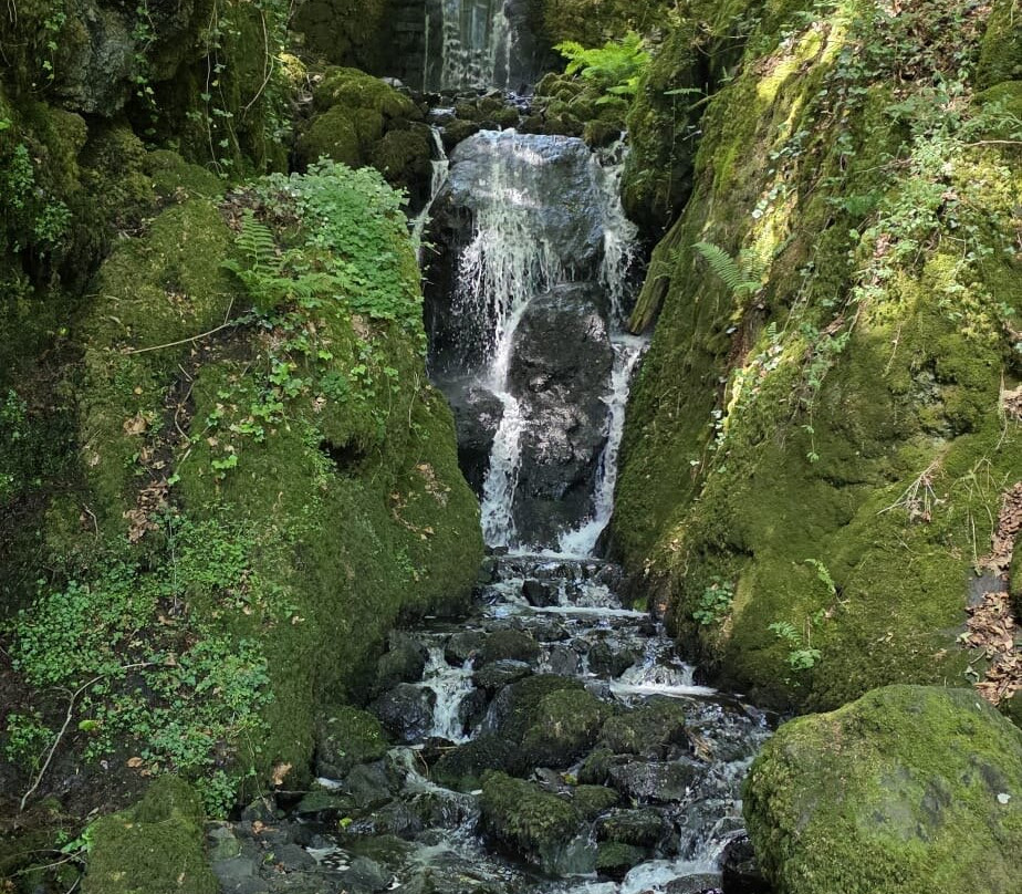 Canonteign Falls-Christow必去景点