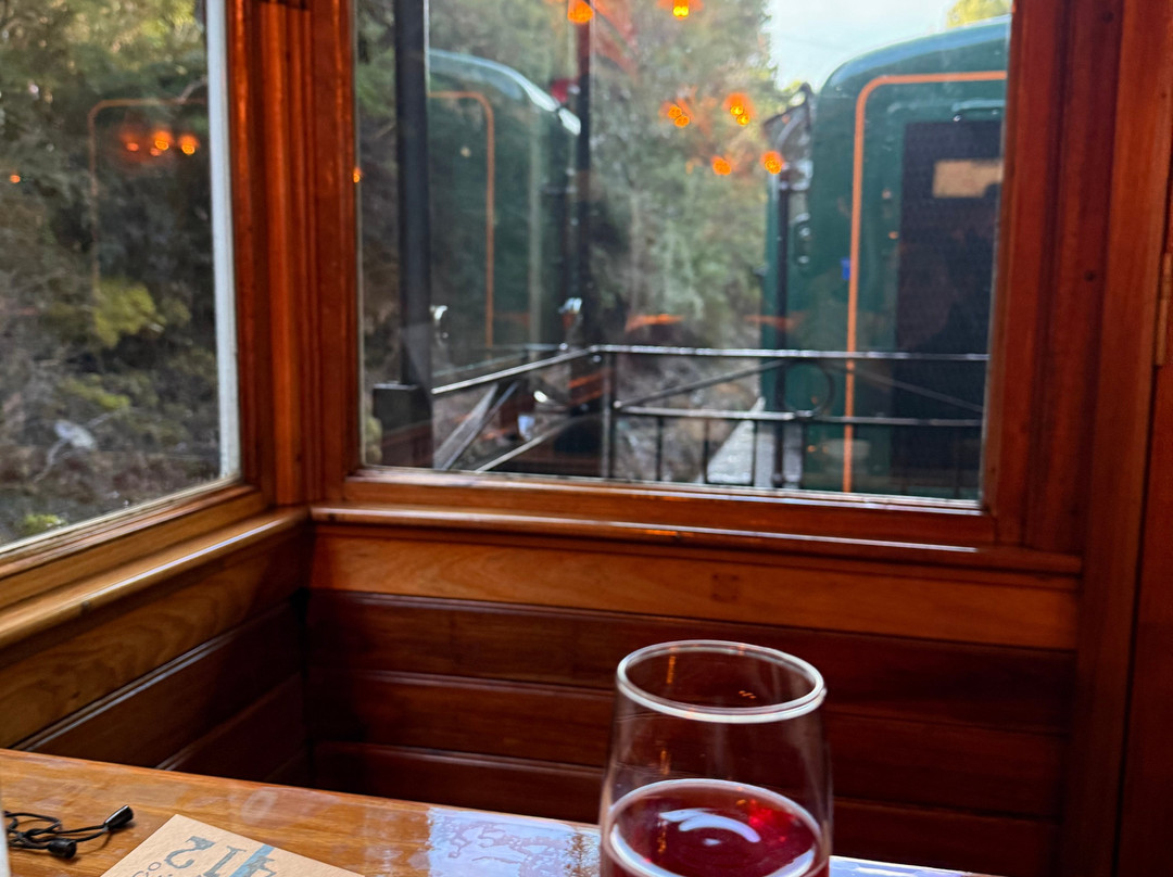 West Coast Wilderness Railway-皇后镇必去景点