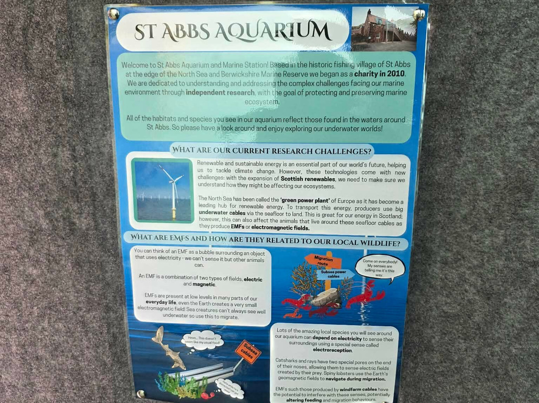St Abbs Aquarium-Eyemouth必去景点