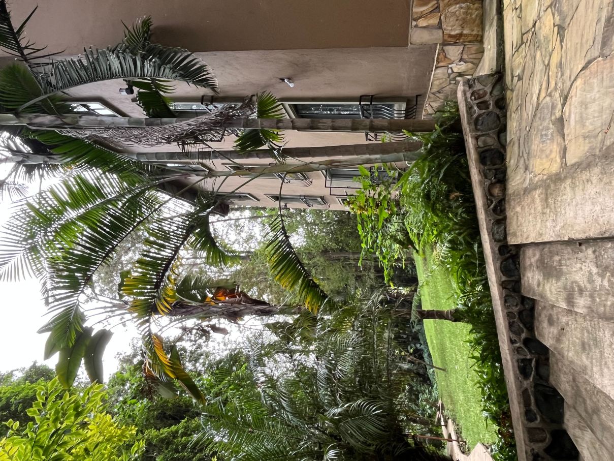 女王树小屋旅馆-旅行者