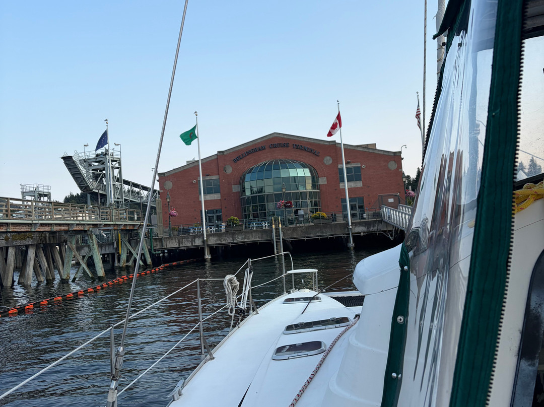 Gato Verde Adventure Sailing-贝灵厄姆必去景点