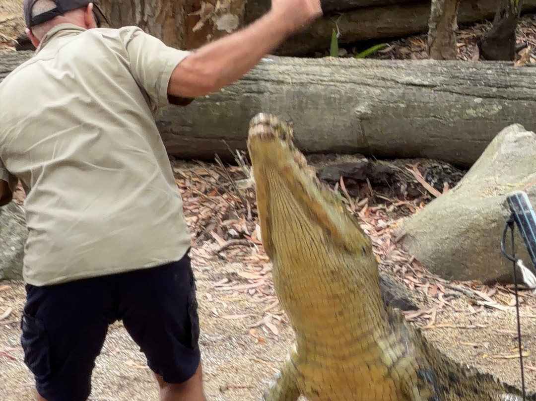 Hartley's Crocodile Adventures-Wangetti必去景点