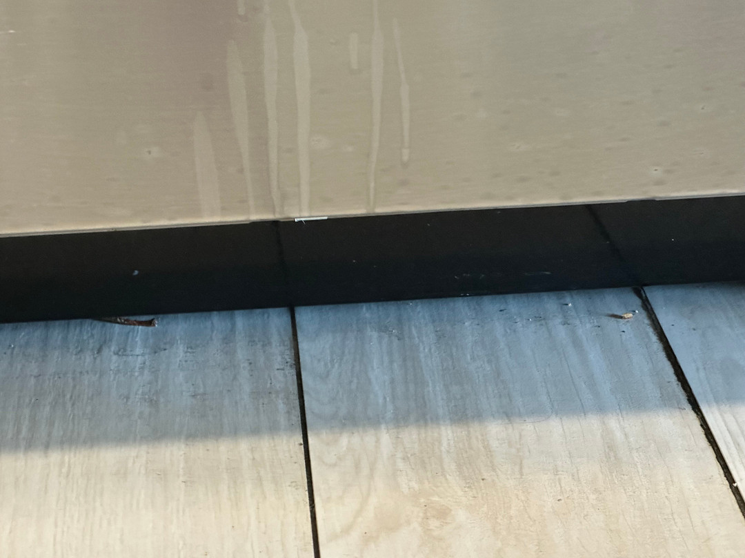 Staybridge Suites 佛罗里达州圣彼得堡主图