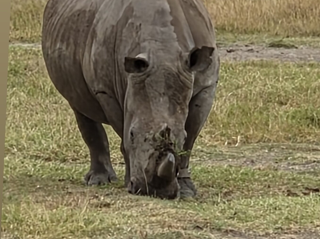 Tanzania Pure Nature and Travel-莫西必去景点