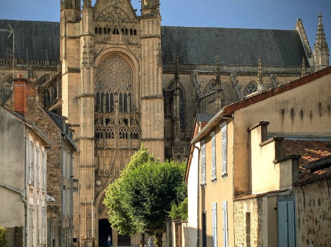Cathédrale Saint-Étienne de Limoges-利摩日必去景点