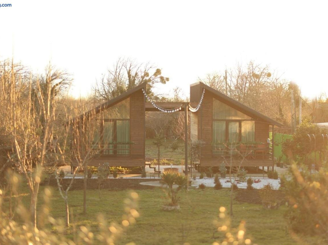 Our village