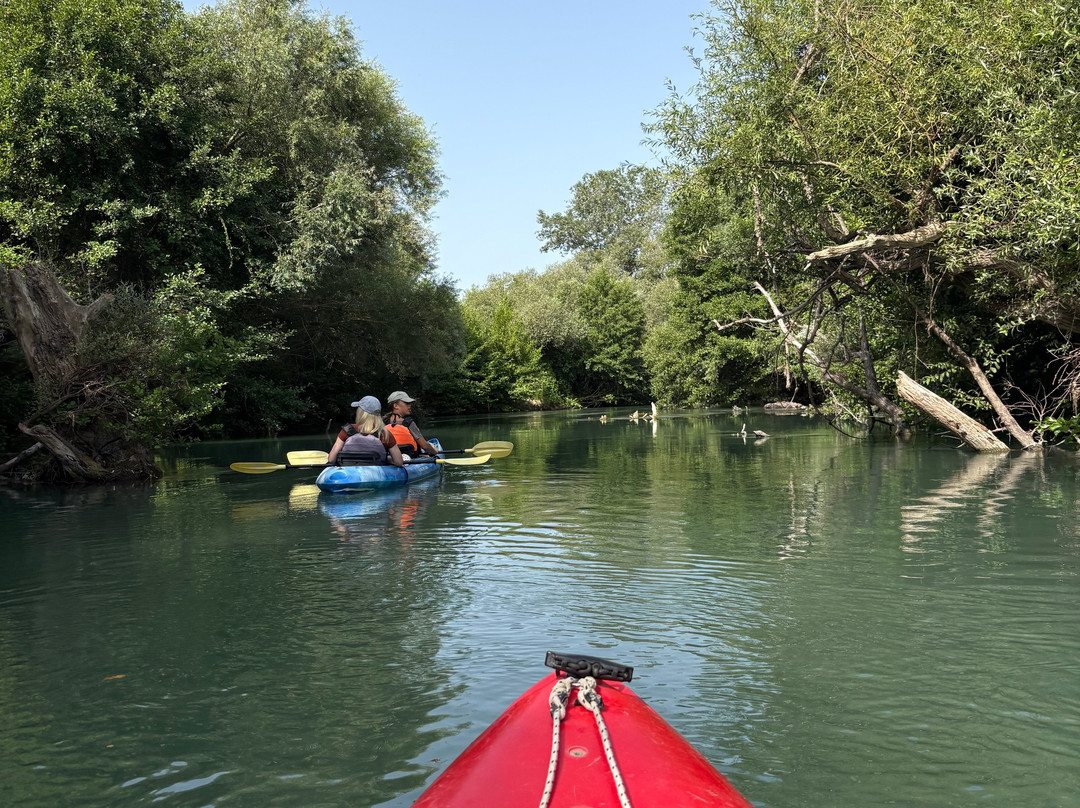 Dragonfly Kayak: The Acheron Experience-Ammoudia必去景点