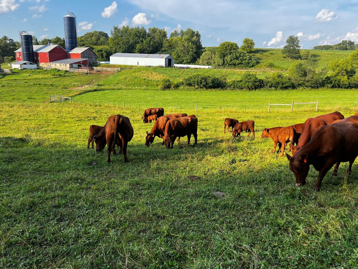 Valley Springs Farm Bed & Breakfast-旅行者