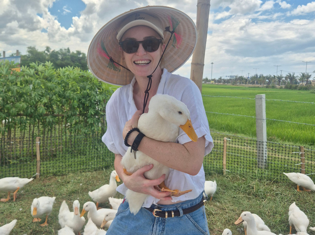 Onion Phi Tours Hoi An-会安必去景点
