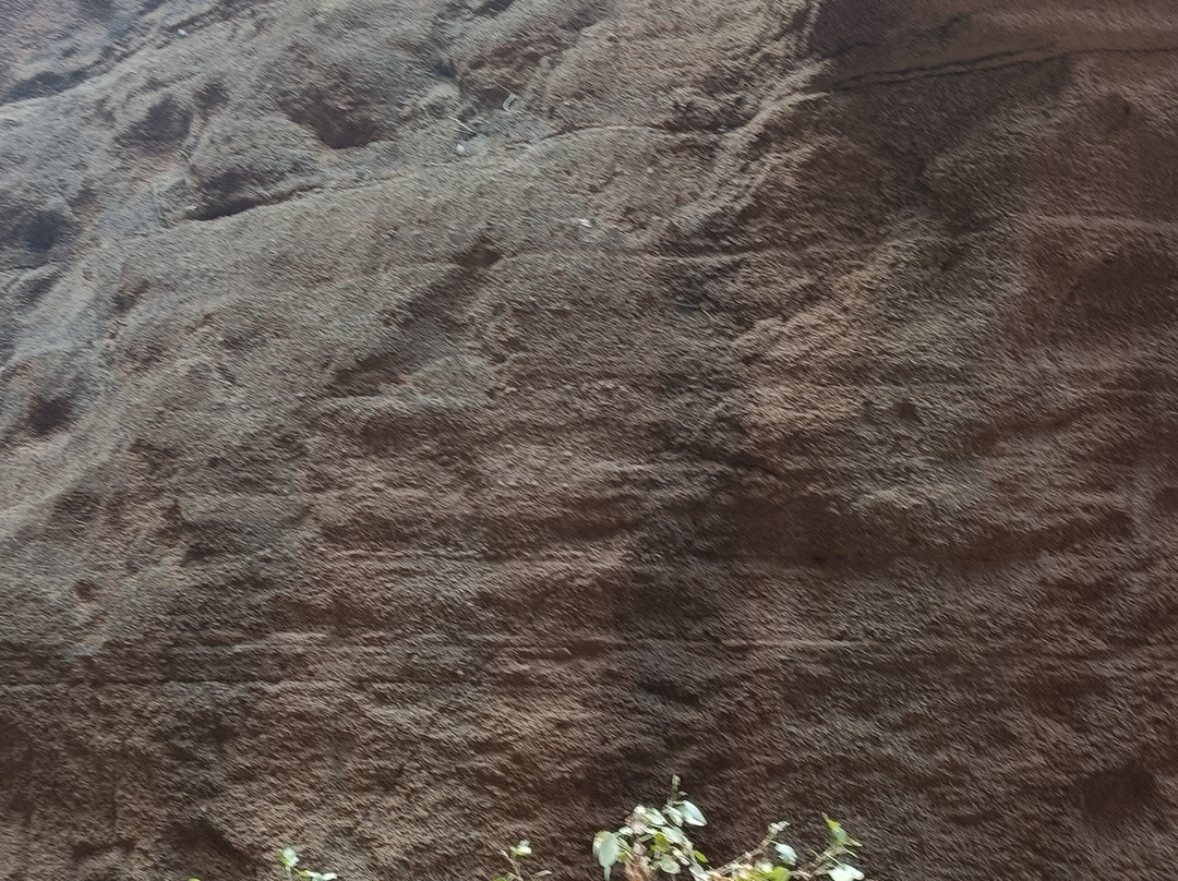 Barranco de Las Vacas-阿古伊梅斯必去景点