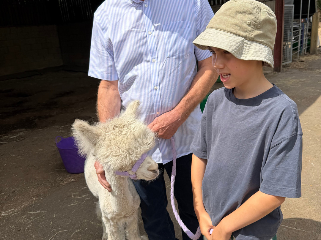Pennybridge Farm Alpacas-胡克必去景点