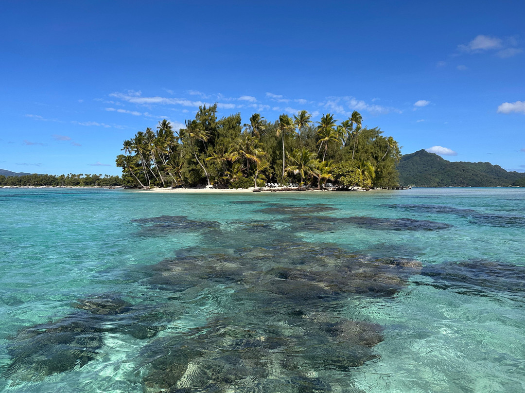Dream Yacht Charter-Uturoa必去景点