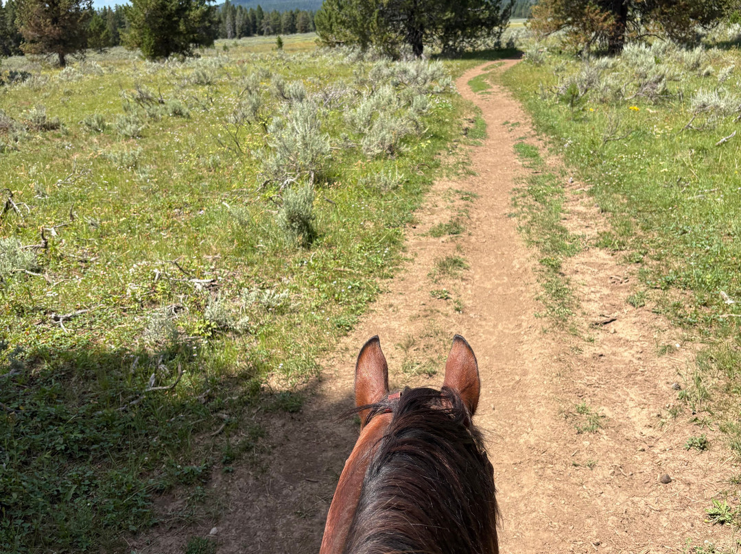 Yellowstone Horses - Eagle Ridge Ranch-艾兰帕克必去景点