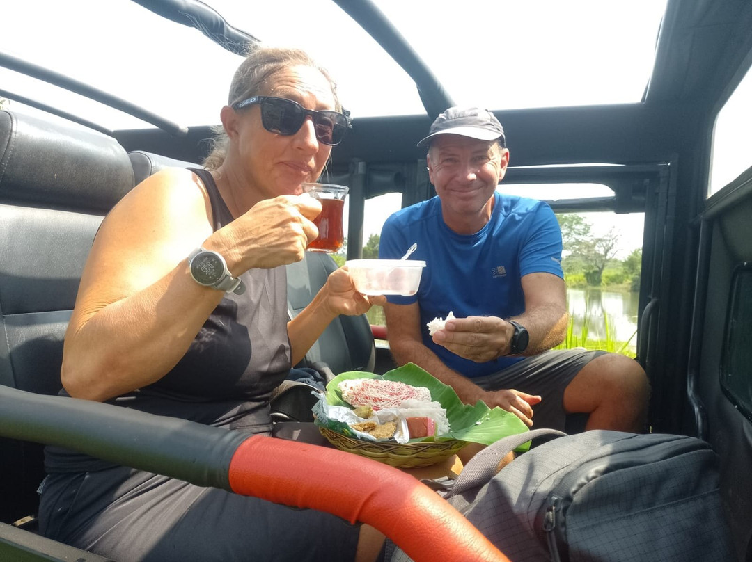 Minneriya Safari Tours-哈巴拉娜必去景点
