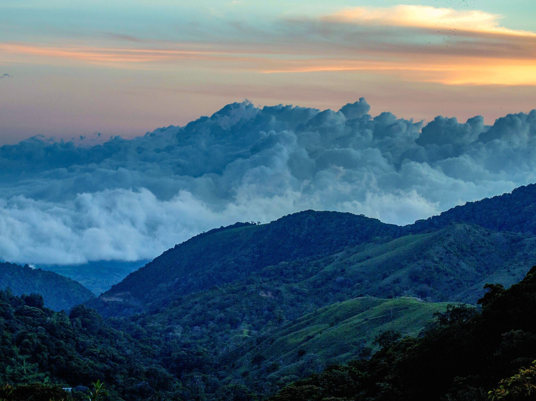 Mount Totumas Cloud Forest主图