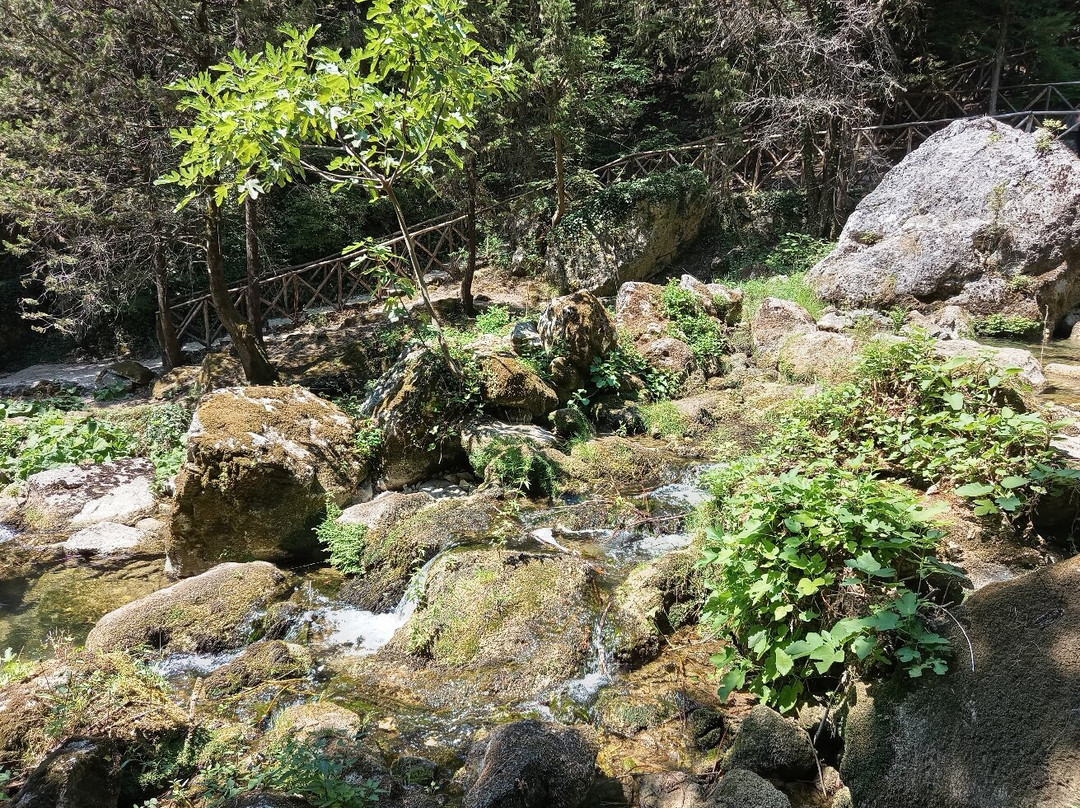 Cipresseta di Fontegreca-Fontegreca必去景点