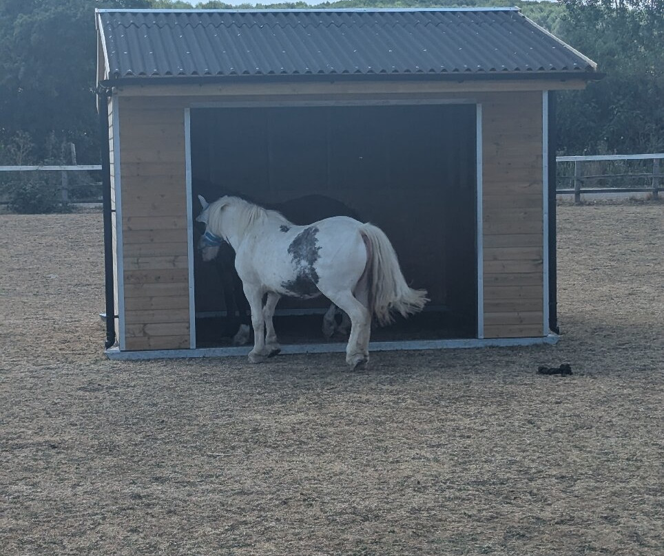 World Horse Welfare - Glenda Spooner Farm-Somerton必去景点