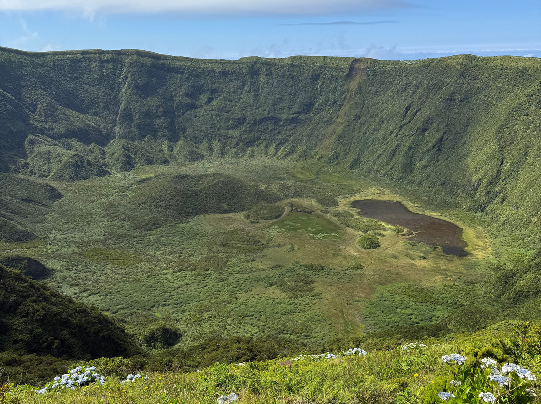 Endemic Azores-奥尔塔必去景点