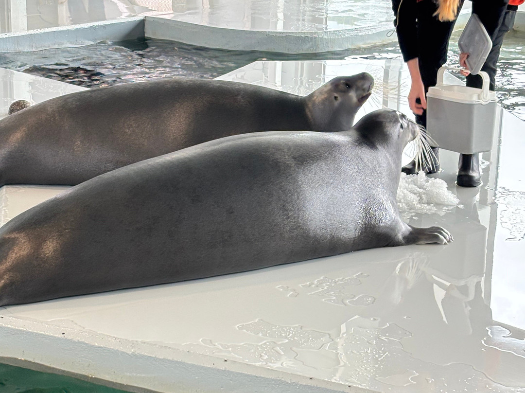 北极星水族馆-特罗姆瑟必去景点