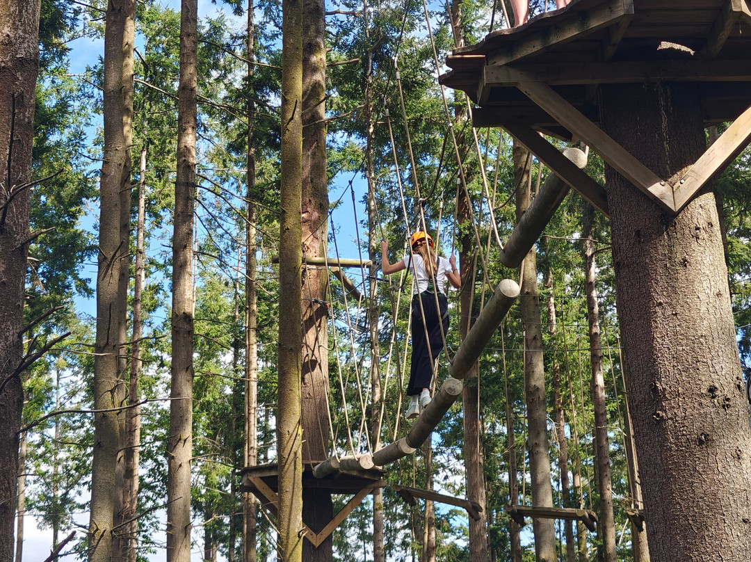 The Tunnel Tree Tops High Ropes-Charmouth必去景点