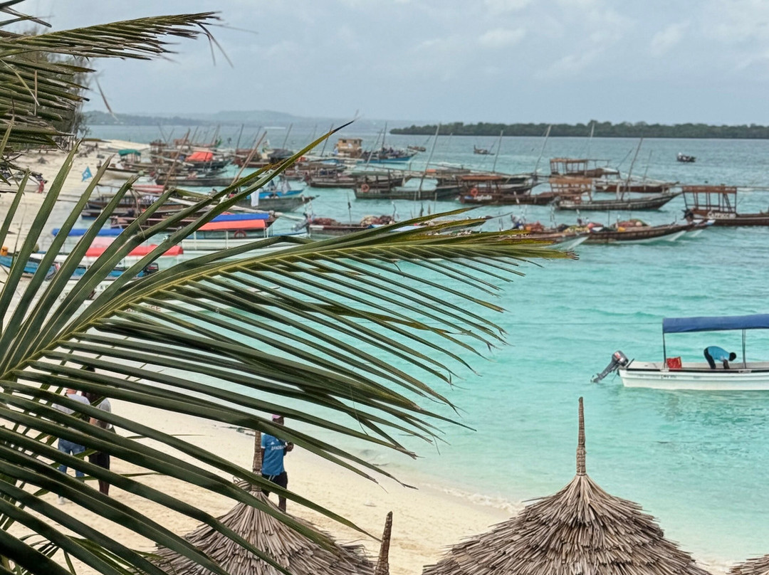 Sunseabar Beach Hotel Kendwa主图