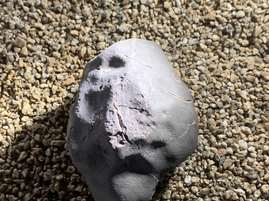 Museo del Meteorito-圣佩德罗-德阿塔卡马必去景点