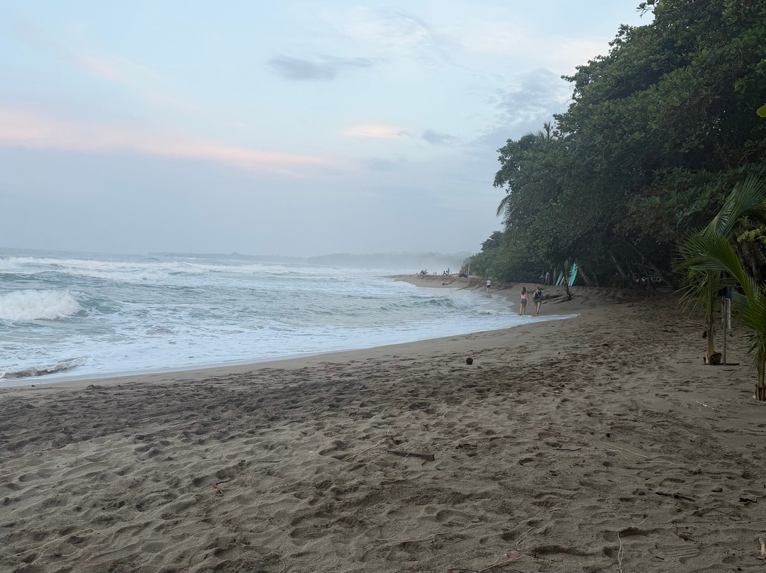Playa Cocles-Cocles必去景点