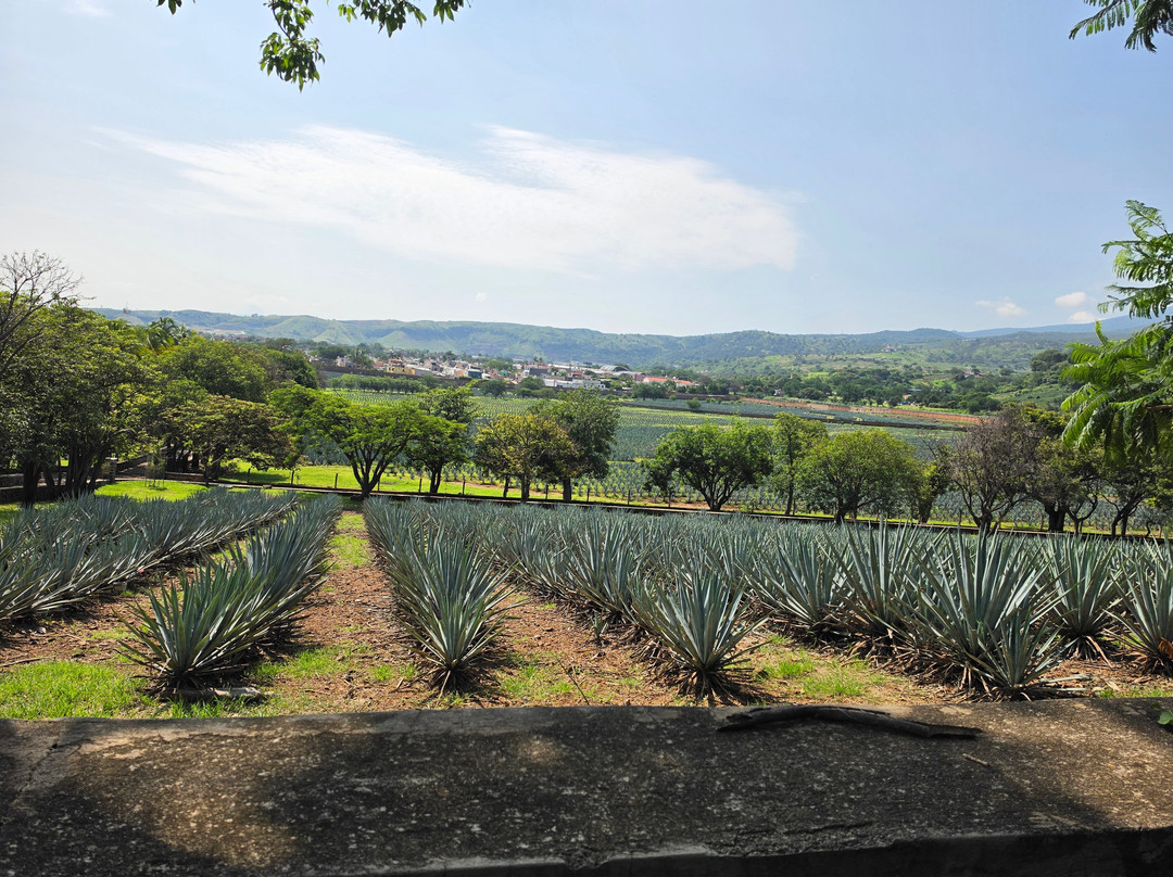 Tequila Fortaleza-特基拉必去景点