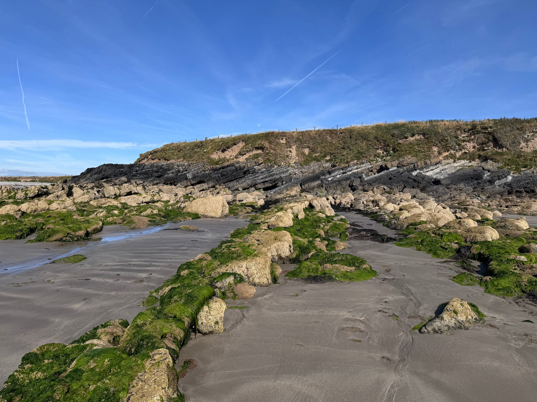 Clonea Beach-邓加文必去景点