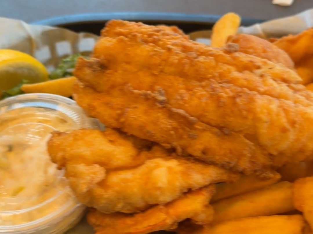 Groupers At The Pier
