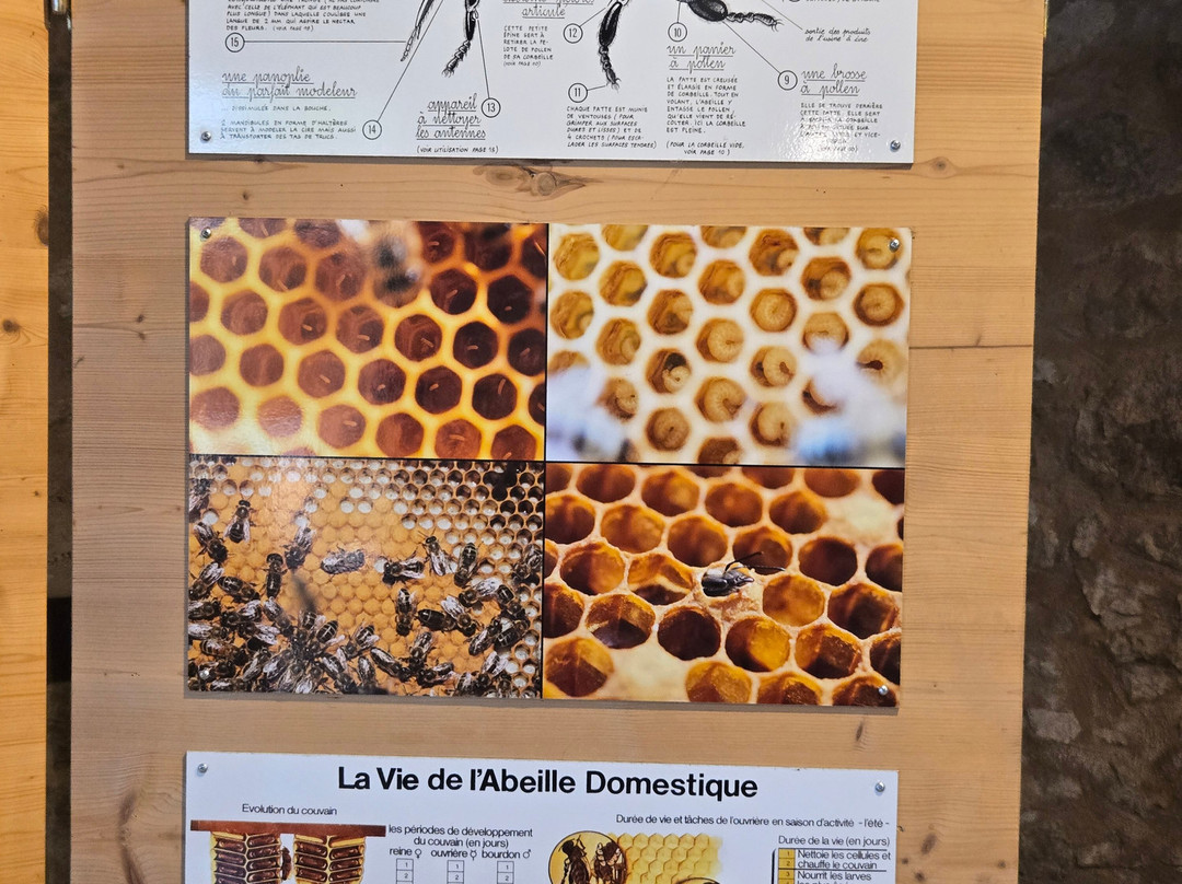 Miellerie des Clauses-Montseret必去景点
