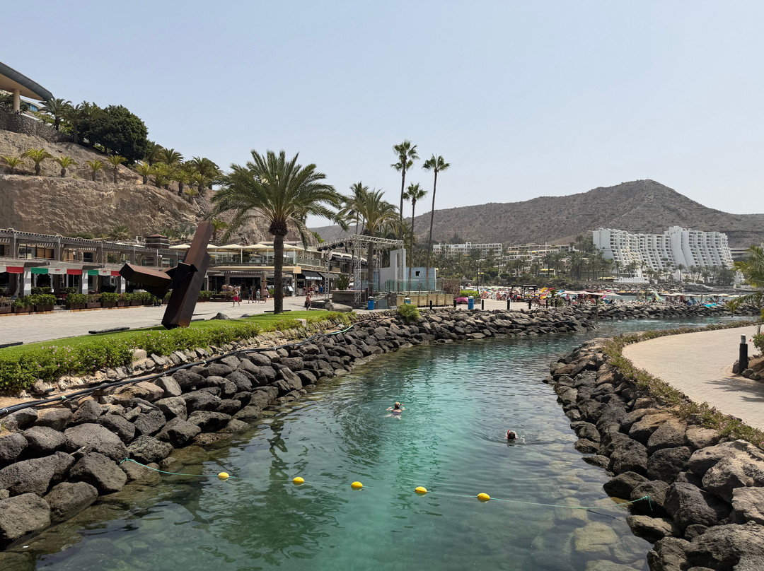 Playa Anfi del Mar-Barranco de la Verga必去景点