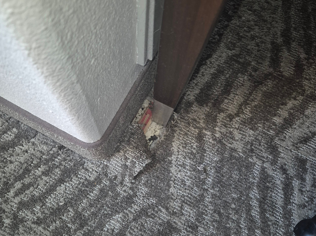 伍德威韦科 SpringHill Suites 酒店主图