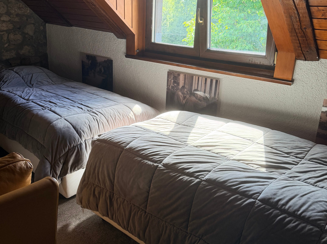 Hotel de la Truite & Spa le Petit Nautilus主图